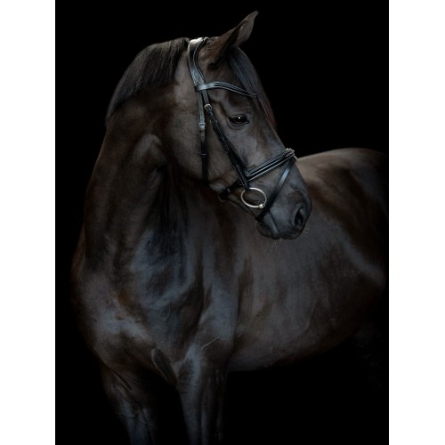 Catago SS26 Torina Bridle