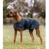 Waldhausen Rain Dog Rug
