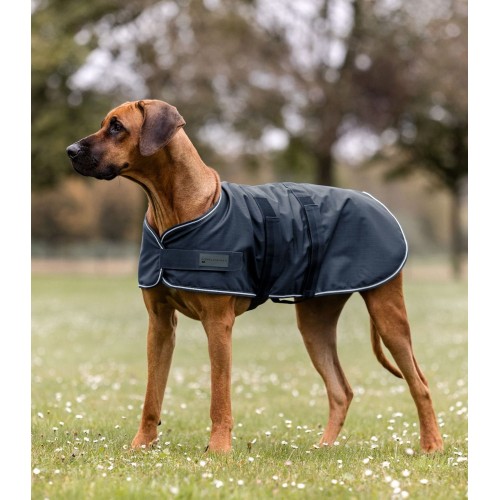Waldhausen Rain Dog Rug