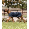 Waldhausen Rain Dog Rug