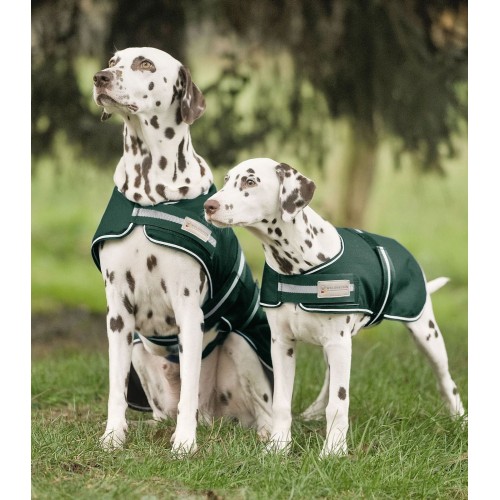 Waldhausen Rain Dog Rug