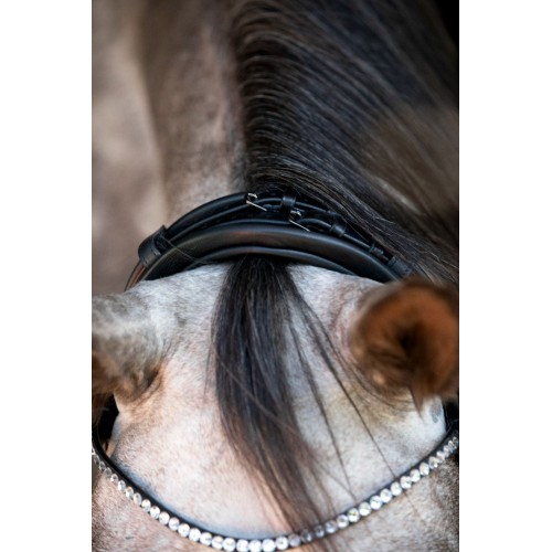 Catago SS26 Nival 26.1 bridle