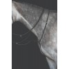 Collegiate Running Martingale IV
