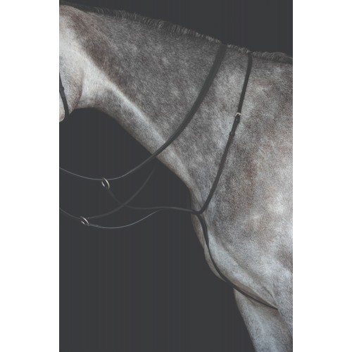 Collegiate Running Martingale IV