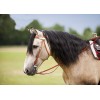 Westride Randol's Two-Tone Bridle