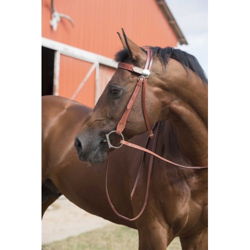 Westride Randol's Two-Tone Bridle
