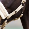 Imperial Riding FW25 Halter Jewel