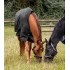 Waldhausen Nordic Turnout Rug