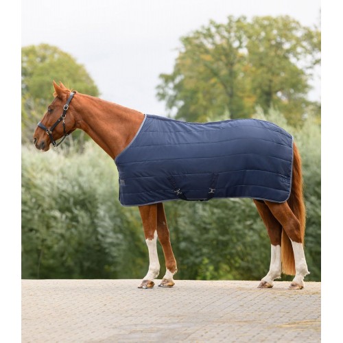 Waldhausen Economic Stable Rug