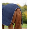 Waldhausen Economic Stable Rug