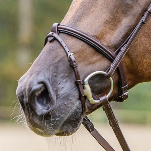 Passier Noseband with Removable Flash Strap