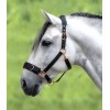 Waldhausen Lunging Halter Rosé