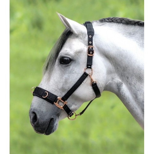 Waldhausen Lunging Halter Rosé