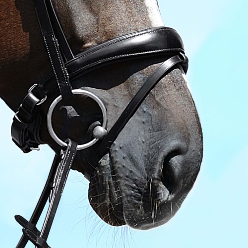 Passier Anatomical Crank Noseband