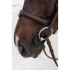 Grooming Deluxe Silicone Bit Guards