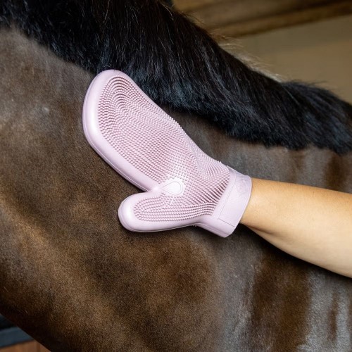 Grooming Deluxe Rubber Grooming Glove