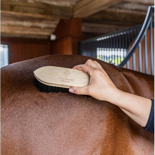 Grooming Deluxe Wooden Brush Classic Medium Hard