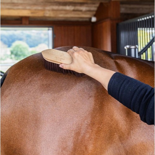 Grooming Deluxe Wooden Brush Classic Medium Hard
