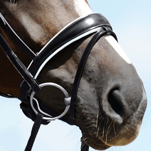 Passier Anatomical Noseband with White Padding