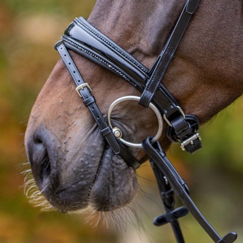 Passier Noseband Anatomical Special Patent Leather and Crystals