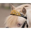 QHP Crown Horse
