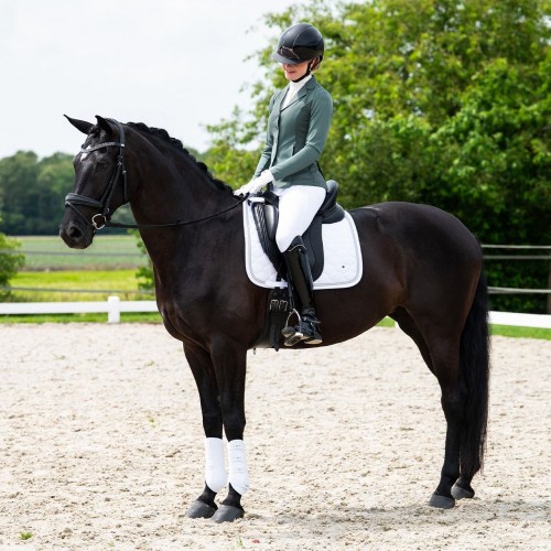 QHP SS26 Novèn Competition Jacket