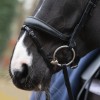 Passier Anatomical Cheekbone Noseband