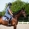 QHP SS26 Aubree Riding Tights with leg grip