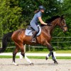 QHP SS26 Aubree Short-Sleeved Sports Shirt