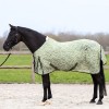 Imperial Riding Fly Rug IRHCarlys