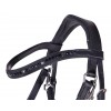 QHP Thunderbolt Bitless Bridle