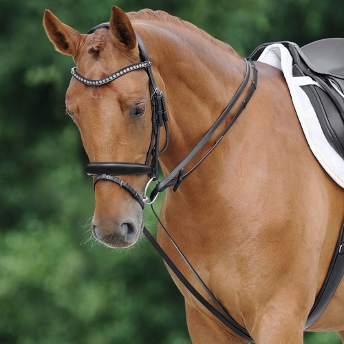Passier Draw Reins with Snap Hooks
