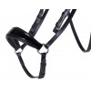 QHP Phaedra Bridle