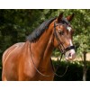 QHP Phaedra Bridle