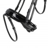 QHP Bridle Skye