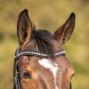 QHP Bridle Skye