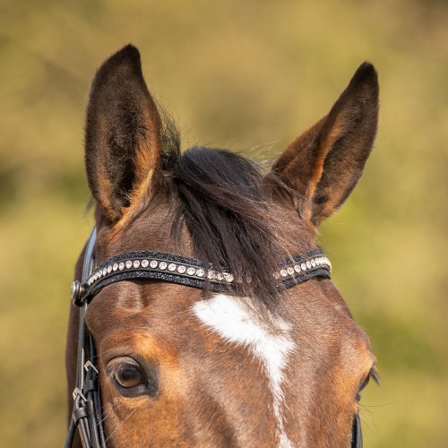 QHP Bridle Skye