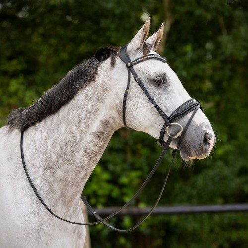 QHP Bridle Skye