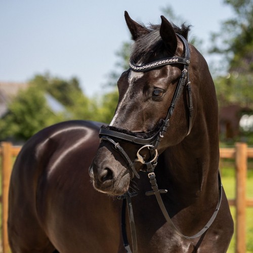 QHP Bridle Sensisoft