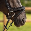 QHP Bridle Sensisoft