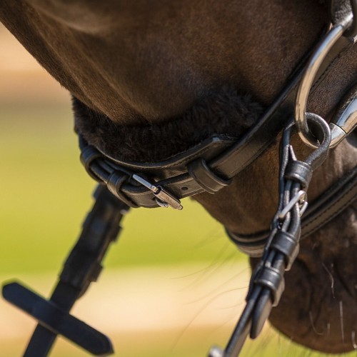 QHP Bridle Sensisoft