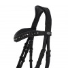 QHP Bridle Glitter