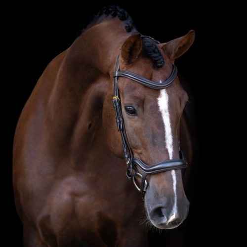 Imperial Riding Snaffle Bridle IRH with ergonomic drop noseband/flash strap