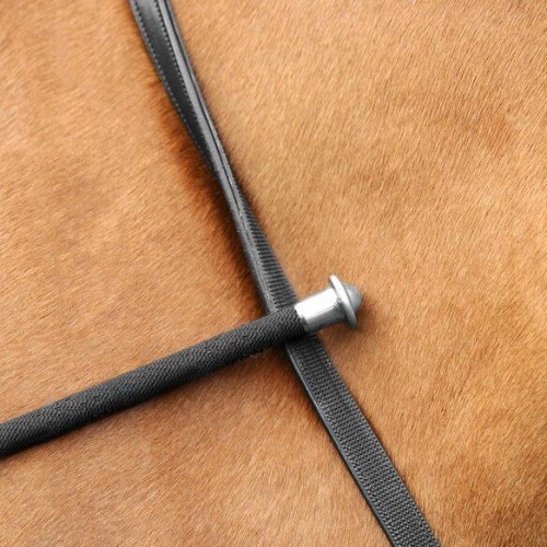 Passier Leather Reins with Rubber on One Side