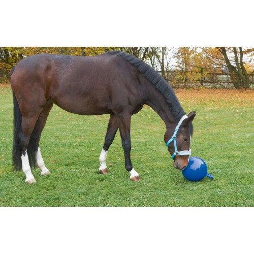 Covalliero Horse Play Ball Ø 25 cm