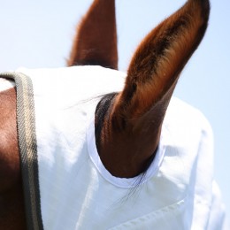 Shires Highlander Plus Sun Shade Fly Combo попона
