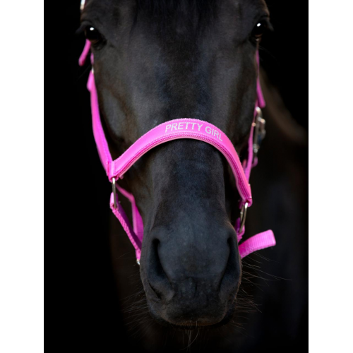 Horseguard Halter Malva