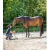 Waldhausen Horsemanship Contact Stick