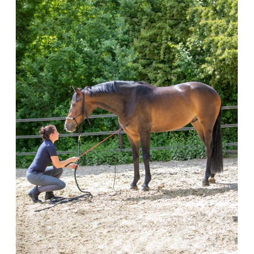 Waldhausen Horsemanship Contact Stick