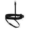 Passier Anatomical Padded Flash Noseband